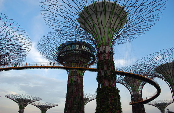 Gardens by the Bay