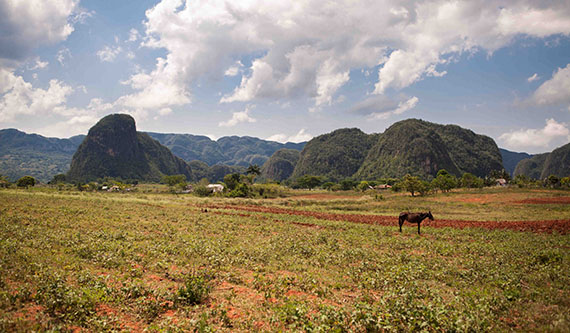 Vale de Viñales, Cuba