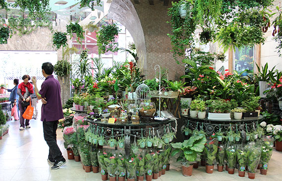 Flower Market, Hong Kong