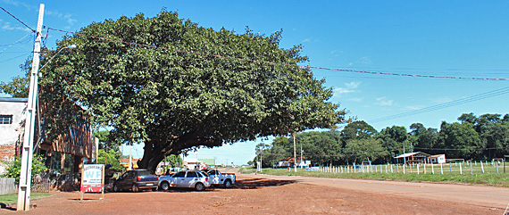 Bom Jardim