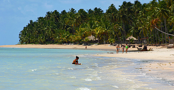 Ponta de Mangue