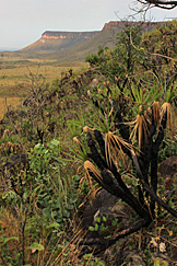 Serra do Espírito Santo