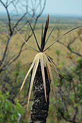 Serra do Espírito Santo