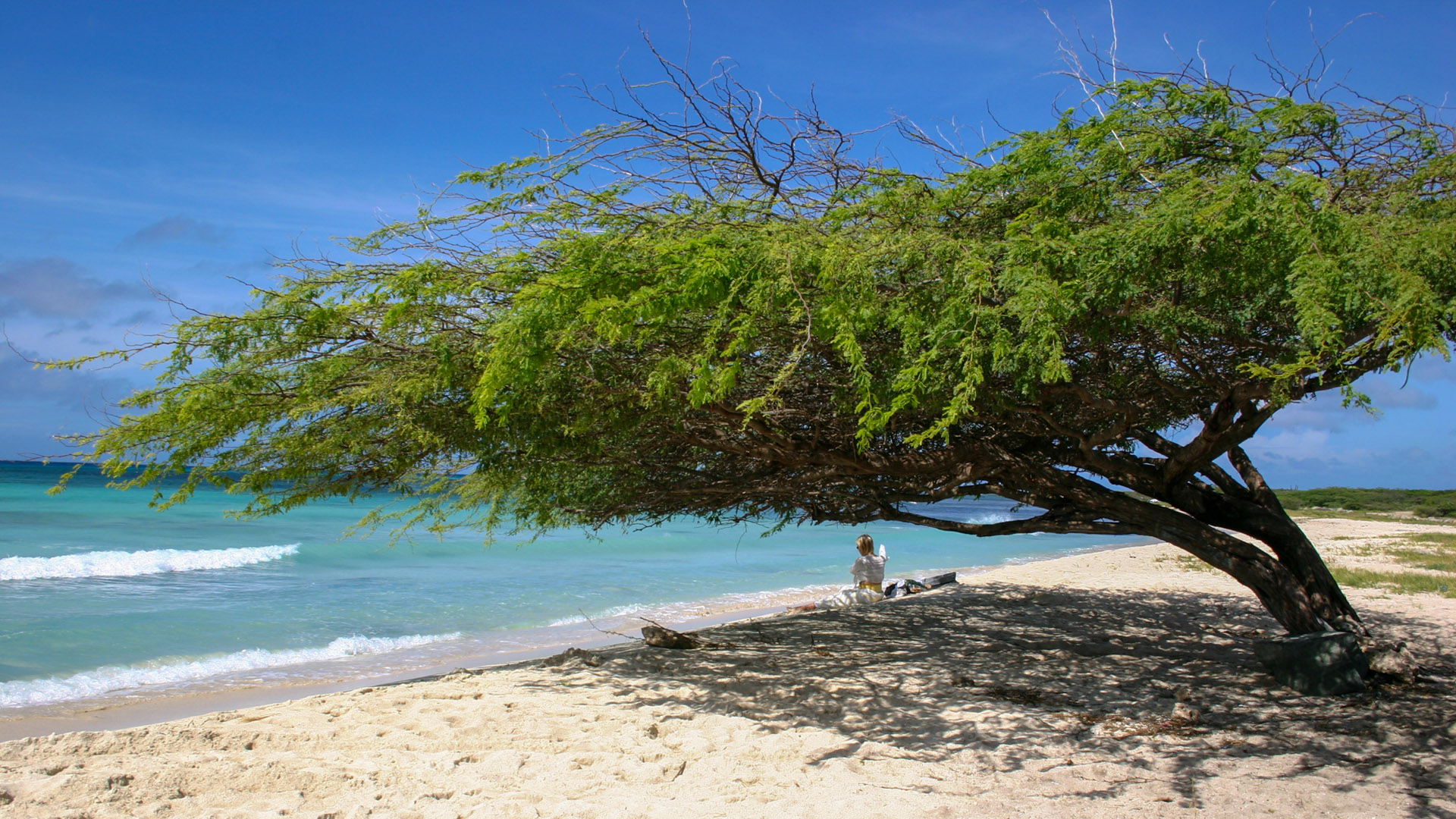 Guia de Aruba