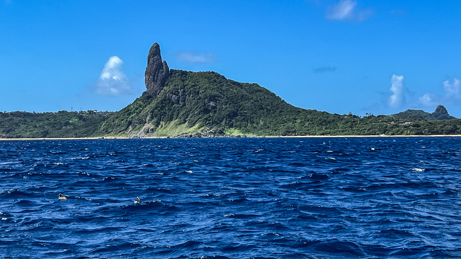 Fernando de Noronha guia completo. Noronhese!