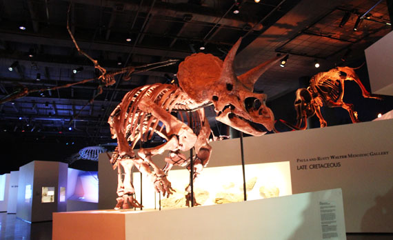 Houston Museum of Natural Science