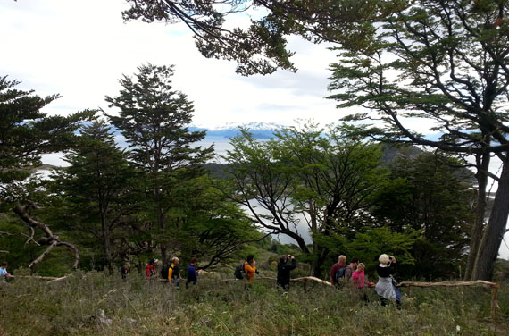 Passeio do cruzeiro Stella Australis