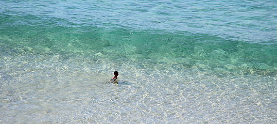 Praia do Cachorro