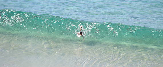 Praia do Cachorro