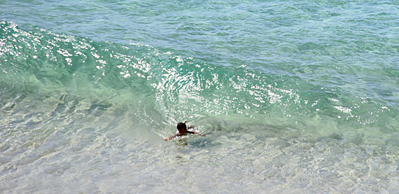 Praia do Cachorro