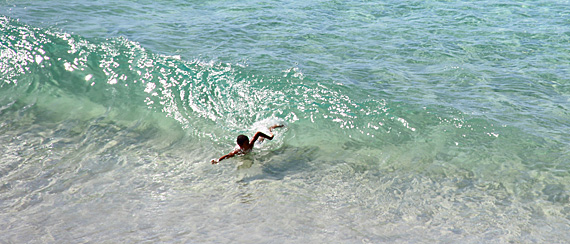 Praia do Cachorro