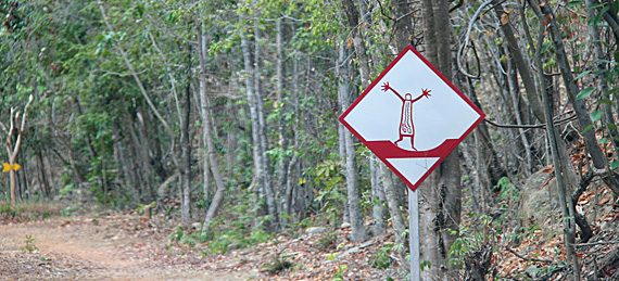 Parque Nacional da Serra da Capivara