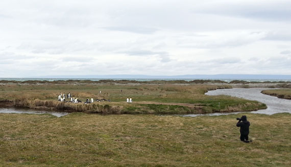 Parque Pingüino Rey