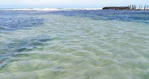 Piscina natural