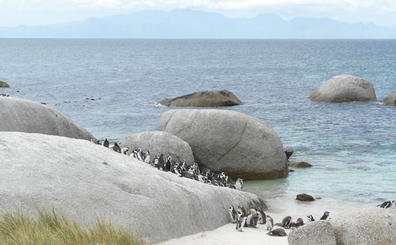 Península do Cabo