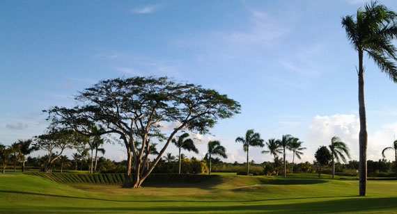 Vista do Golf Bar no Barceló Bávaro Palace Deluxe