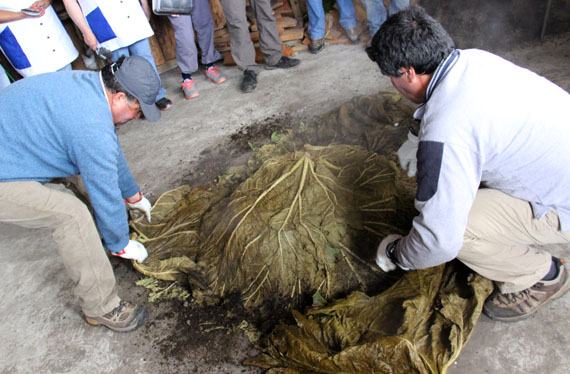 Curanto em Chiloé