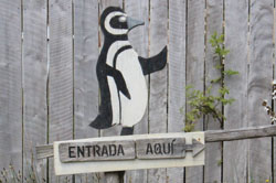 Restaurante Bahía Puñihuil