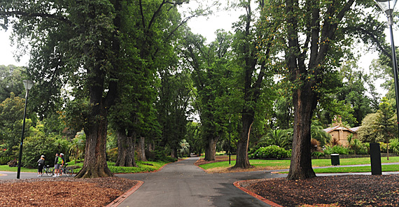 Fitzroy Gardens