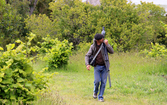 Chiloé