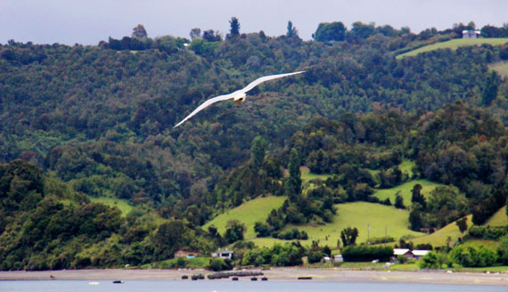 Chiloé