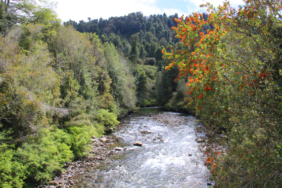 Parque Nacional Puyehue