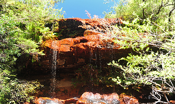 Blue Mountains