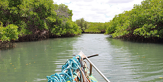 Galinhos