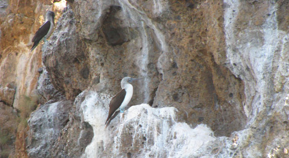 Islas Marietas