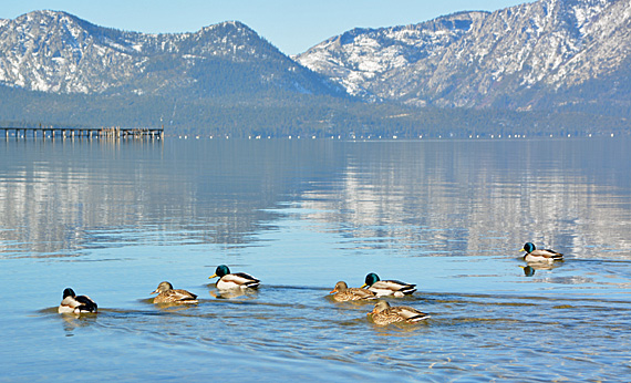 Lago Tahoe