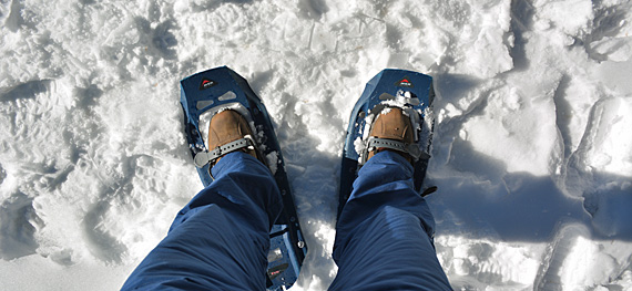 Snowshoes