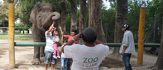 Zoológico de Luján: por que não recomendamos a visita 1