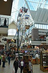 Scheels