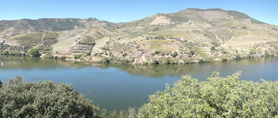 Alto Douro Vinhateiro, N222