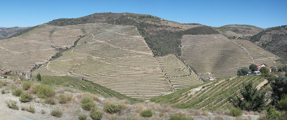 Alto Douro Vinhateiro, N222