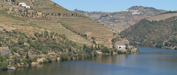 30 dias em Portugal: Douro, Minho e Serra do Gerês 1