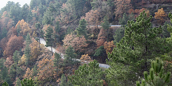 Serra da Estrela