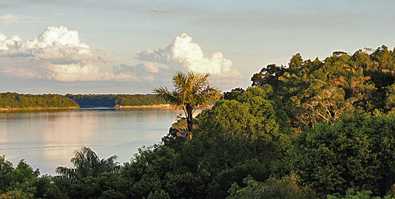 Amazonas hotel de selva: Anavilhanas Jungle Lodge