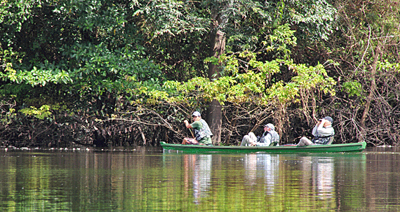 Anavilhanas Jungle Lodge