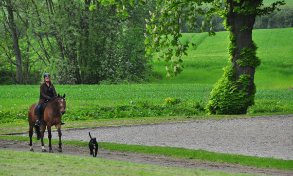 Broholm Castle