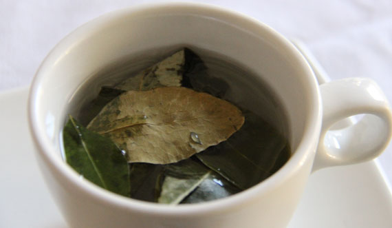 Chá de folhas de coca