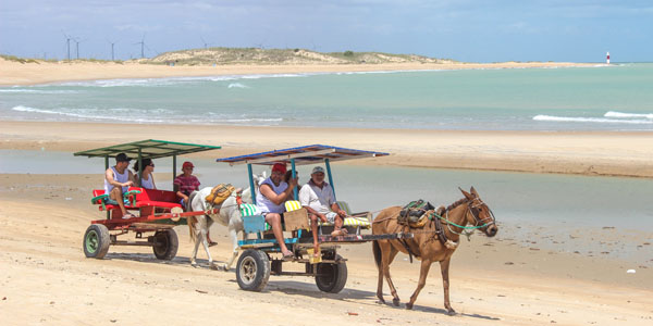 Passeio de charrete