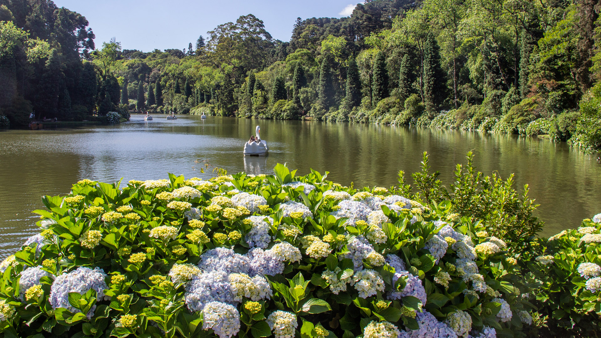 Dicas de Gramado: Lago Negro