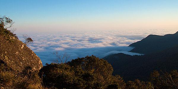 Monte Verde coronavirus