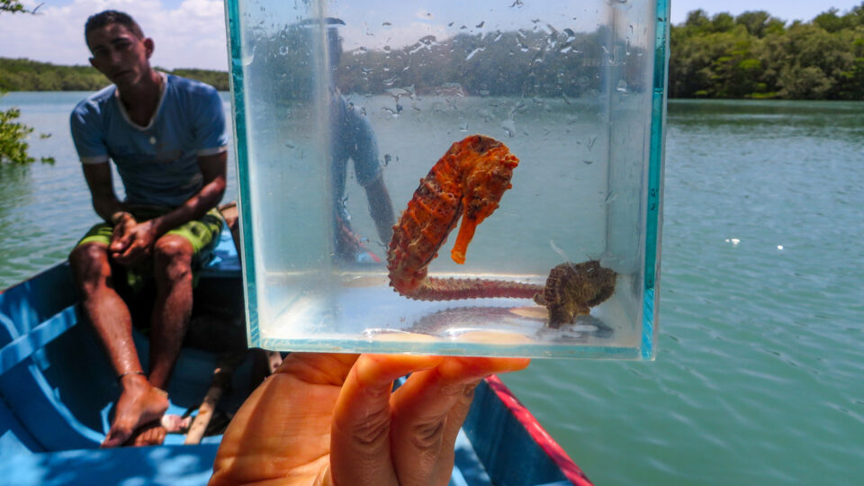 O que fazer em Barra Grande do Piauí