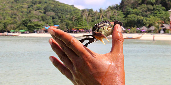 Koh Phi Phi Don