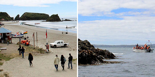 Puñihuil, Chiloé