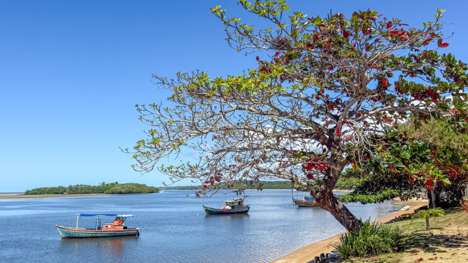 Guia de Santo André da Bahia