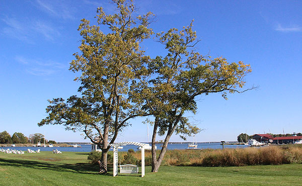 The Inn at Perry Cabin, St. Michaels