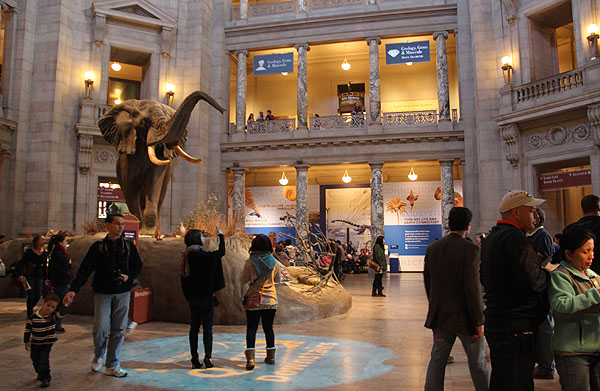 Museu de História Natural